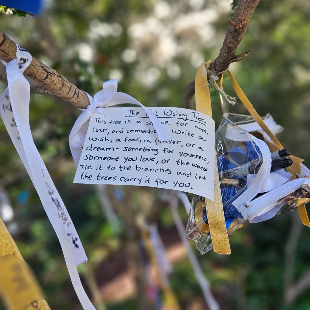 First Day = Friday&nbsp;Favorites